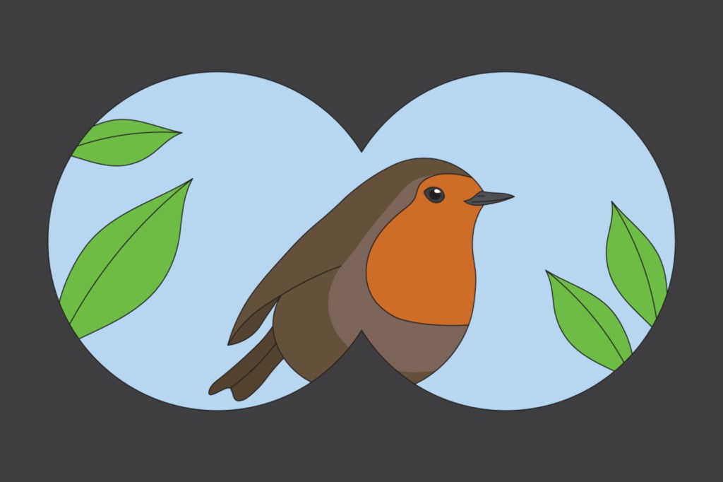 Robin seen through binoculars.