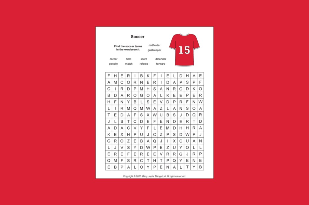 The soccer/football word search.